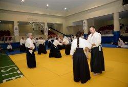 İSTANBUL 8.DAN YOSHIMITSU YAMADA SHIHAN SEMİNERİ 19-20/09/2015 - 2 