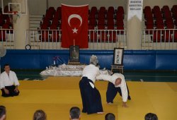 İSTANBUL 8.DAN YOSHIMITSU YAMADA SHIHAN SEMİNERİ 19-20/09/2015 - 2 