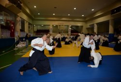 İSTANBUL 8.DAN YOSHIMITSU YAMADA SHIHAN SEMİNERİ 19-20/09/2015 - 2 