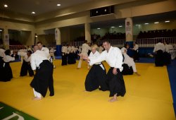 İSTANBUL 8.DAN YOSHIMITSU YAMADA SHIHAN SEMİNERİ 19-20/09/2015 - 2 