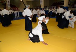 İSTANBUL 8.DAN YOSHIMITSU YAMADA SHIHAN SEMİNERİ 19-20/09/2015 - 2 