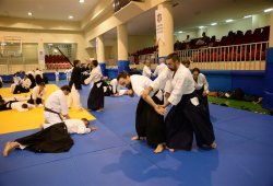 İSTANBUL 8.DAN YOSHIMITSU YAMADA SHIHAN SEMİNERİ 19-20/09/2015 - 2 