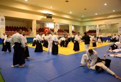 İSTANBUL 8.DAN YOSHIMITSU YAMADA SHIHAN SEMİNERİ 19-20/09/2015 - 2 