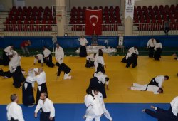 İSTANBUL 8.DAN YOSHIMITSU YAMADA SHIHAN SEMİNERİ 19-20/09/2015 - 2 