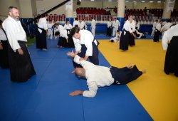 İSTANBUL 8.DAN YOSHIMITSU YAMADA SHIHAN SEMİNERİ 19-20/09/2015 - 2 