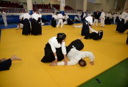 İSTANBUL 8.DAN YOSHIMITSU YAMADA SHIHAN SEMİNERİ 19-20/09/2015 - 2 