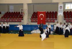 İSTANBUL 8.DAN YOSHIMITSU YAMADA SHIHAN SEMİNERİ 19-20/09/2015 - 2 