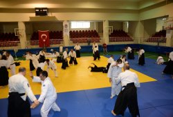 İSTANBUL 8.DAN YOSHIMITSU YAMADA SHIHAN SEMİNERİ 19-20/09/2015 - 2 