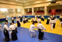 İSTANBUL 8.DAN YOSHIMITSU YAMADA SHIHAN SEMİNERİ 19-20/09/2015 - 2 