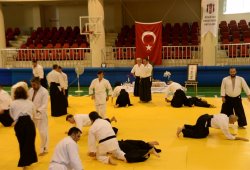 İSTANBUL 8.DAN YOSHIMITSU YAMADA SHIHAN SEMİNERİ 19-20/09/2015 - 2 