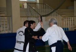 İSTANBUL 8.DAN YOSHIMITSU YAMADA SHIHAN SEMİNERİ 19-20/09/2015 - 2 