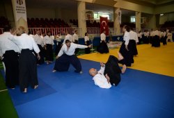 İSTANBUL 8.DAN YOSHIMITSU YAMADA SHIHAN SEMİNERİ 19-20/09/2015 - 2 