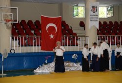 İSTANBUL 8.DAN YOSHIMITSU YAMADA SHIHAN SEMİNERİ 19-20/09/2015 - 2 