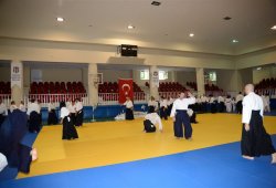 İSTANBUL 8.DAN YOSHIMITSU YAMADA SHIHAN SEMİNERİ 19-20/09/2015 - 2 