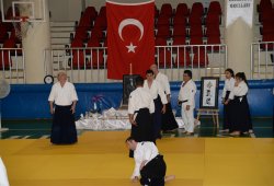 İSTANBUL 8.DAN YOSHIMITSU YAMADA SHIHAN SEMİNERİ 19-20/09/2015 - 2 