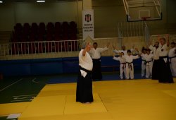 İSTANBUL 8.DAN YOSHIMITSU YAMADA SHIHAN SEMİNERİ 19-20/09/2015 - 2 