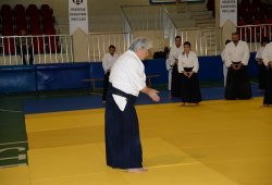 İSTANBUL 8.DAN YOSHIMITSU YAMADA SHIHAN SEMİNERİ 19-20/09/2015 - 2 