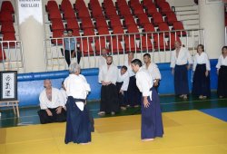 İSTANBUL 8.DAN YOSHIMITSU YAMADA SHIHAN SEMİNERİ 19-20/09/2015 - 2 