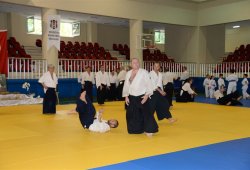 İSTANBUL 8.DAN YOSHIMITSU YAMADA SHIHAN SEMİNERİ 19-20/09/2015 - 2 