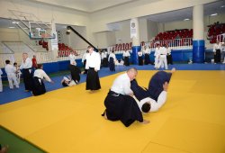 İSTANBUL 8.DAN YOSHIMITSU YAMADA SHIHAN SEMİNERİ 19-20/09/2015 - 2 