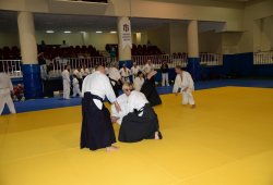 İSTANBUL 8.DAN YOSHIMITSU YAMADA SHIHAN SEMİNERİ 19-20/09/2015 - 2 