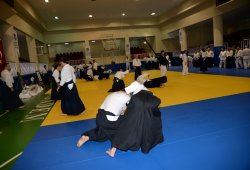 İSTANBUL 8.DAN YOSHIMITSU YAMADA SHIHAN SEMİNERİ 19-20/09/2015 - 2 