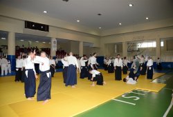 İSTANBUL 8.DAN YOSHIMITSU YAMADA SHIHAN SEMİNERİ 19-20/09/2015 - 2 