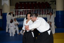 İSTANBUL 8.DAN YOSHIMITSU YAMADA SHIHAN SEMİNERİ 19-20/09/2015 - 2 