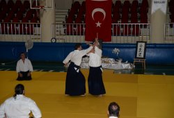 İSTANBUL 8.DAN YOSHIMITSU YAMADA SHIHAN SEMİNERİ 19-20/09/2015 - 2 