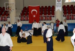 İSTANBUL 8.DAN YOSHIMITSU YAMADA SHIHAN SEMİNERİ 19-20/09/2015 - 2 