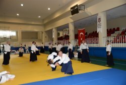 İSTANBUL 8.DAN YOSHIMITSU YAMADA SHIHAN SEMİNERİ 19-20/09/2015 - 2 