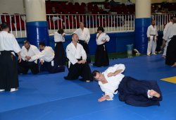 İSTANBUL 8.DAN YOSHIMITSU YAMADA SHIHAN SEMİNERİ 19-20/09/2015 - 2 