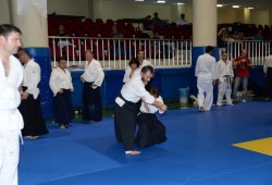 İSTANBUL 8.DAN YOSHIMITSU YAMADA SHIHAN SEMİNERİ 19-20/09/2015 - 2 