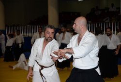 İSTANBUL 8.DAN YOSHIMITSU YAMADA SHIHAN SEMİNERİ 19-20/09/2015 - 2 