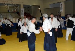 İSTANBUL 8.DAN YOSHIMITSU YAMADA SHIHAN SEMİNERİ 19-20/09/2015 - 2 