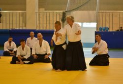 İSTANBUL 8.DAN YOSHIMITSU YAMADA SHIHAN SEMİNERİ 19-20/09/2015 - 2 