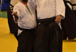 İSTANBUL 8.DAN YOSHIMITSU YAMADA SHIHAN SEMİNERİ 19-20/09/2015 - 2 