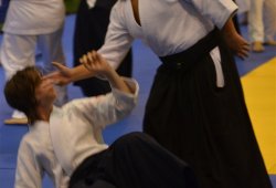 İSTANBUL 8.DAN YOSHIMITSU YAMADA SHIHAN SEMİNERİ 19-20/09/2015 - 2 