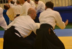 İSTANBUL 8.DAN YOSHIMITSU YAMADA SHIHAN SEMİNERİ 19-20/09/2015 - 2 