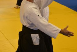 İSTANBUL 8.DAN YOSHIMITSU YAMADA SHIHAN SEMİNERİ 19-20/09/2015 - 2 