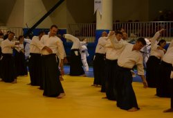 İSTANBUL 8.DAN YOSHIMITSU YAMADA SHIHAN SEMİNERİ 19-20/09/2015 - 2 