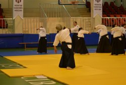 İSTANBUL 8.DAN YOSHIMITSU YAMADA SHIHAN SEMİNERİ 19-20/09/2015 - 2 