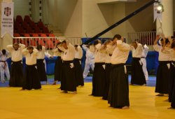 İSTANBUL 8.DAN YOSHIMITSU YAMADA SHIHAN SEMİNERİ 19-20/09/2015 - 2 