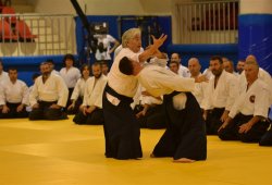 İSTANBUL 8.DAN YOSHIMITSU YAMADA SHIHAN SEMİNERİ 19-20/09/2015 - 2 