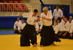 İSTANBUL 8.DAN YOSHIMITSU YAMADA SHIHAN SEMİNERİ 19-20/09/2015 - 2 