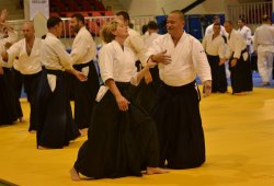 İSTANBUL 8.DAN YOSHIMITSU YAMADA SHIHAN SEMİNERİ 19-20/09/2015 - 2 