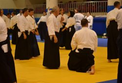 İSTANBUL 8.DAN YOSHIMITSU YAMADA SHIHAN SEMİNERİ 19-20/09/2015 - 2 