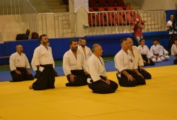 İSTANBUL 8.DAN YOSHIMITSU YAMADA SHIHAN SEMİNERİ 19-20/09/2015 - 2 