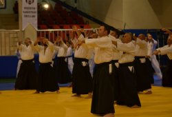 İSTANBUL 8.DAN YOSHIMITSU YAMADA SHIHAN SEMİNERİ 19-20/09/2015 - 2 