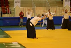 İSTANBUL 8.DAN YOSHIMITSU YAMADA SHIHAN SEMİNERİ 19-20/09/2015 - 2 